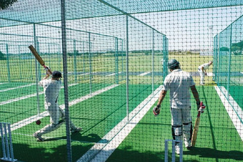 cricket.jpg